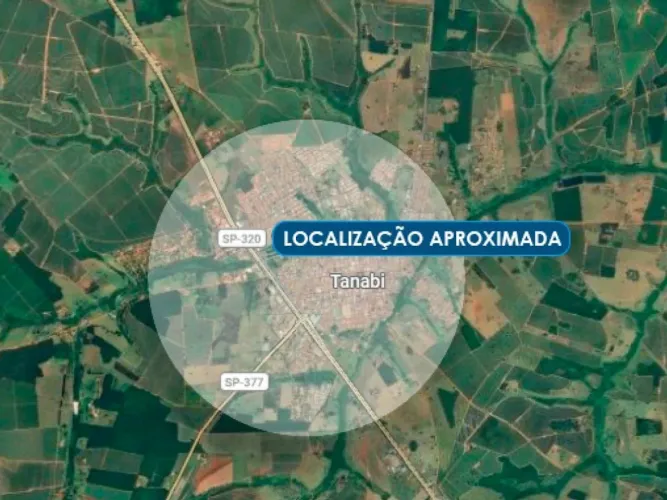 Imóvel Rural 12 ha (Sítio JRN) - Tanabi - SP