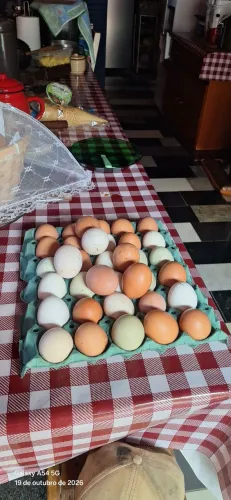 Ovos do sitio da Santa