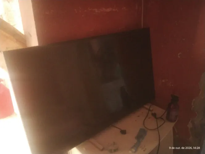 Televisão