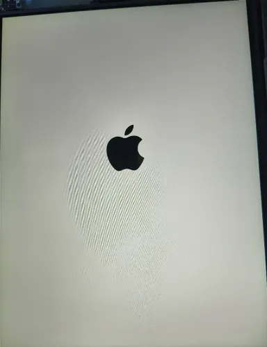 Display IPad air 1/5/6 retirado original