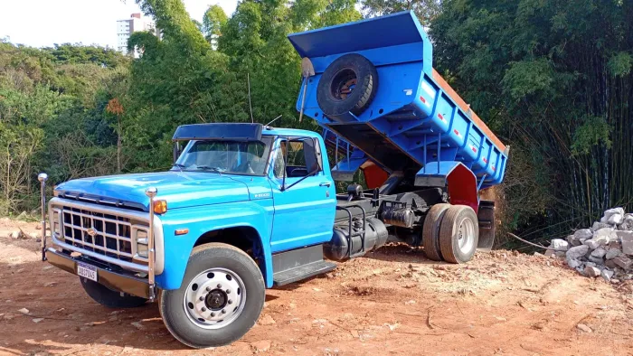 F11000 caçamba fordão