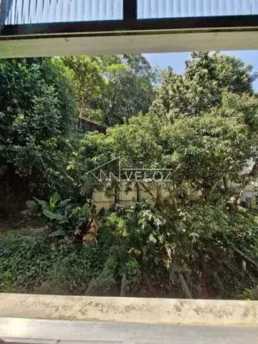 Apartamento - / Residencial / Glória