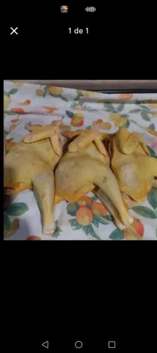 Frangos caipira limpo