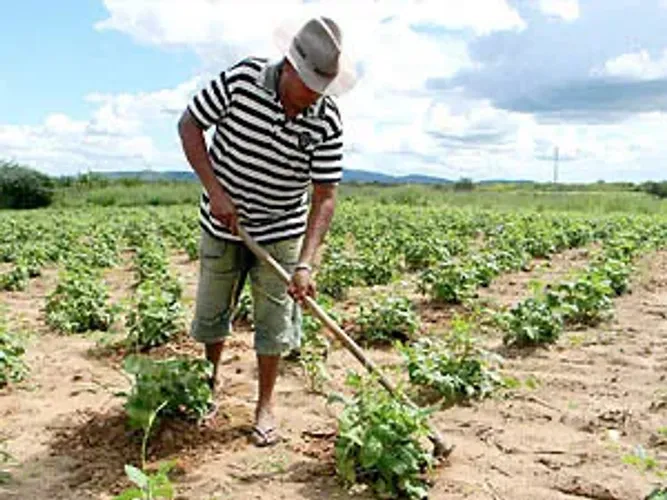 Trabalhador do Campo