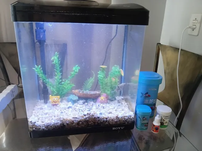 Vendo aquário montado
