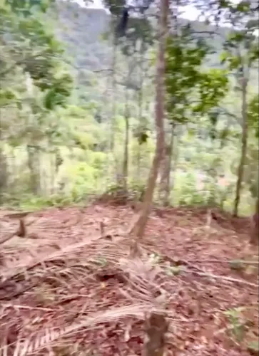 Terreno em paraty