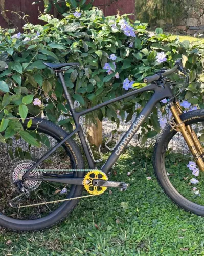 Cannodale scalpel fsi Mtb ht carbono