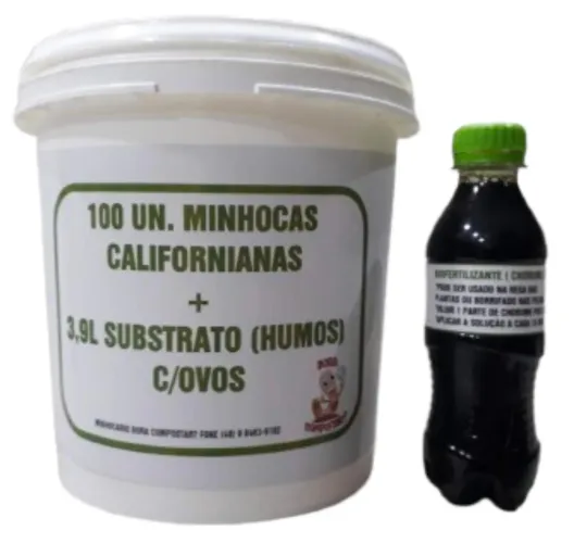 100 unidades minhocas californianas + 3,9l substrato humos+ brinde