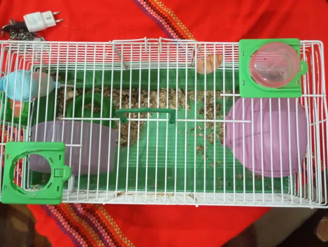 Vendo gaiola de hamster