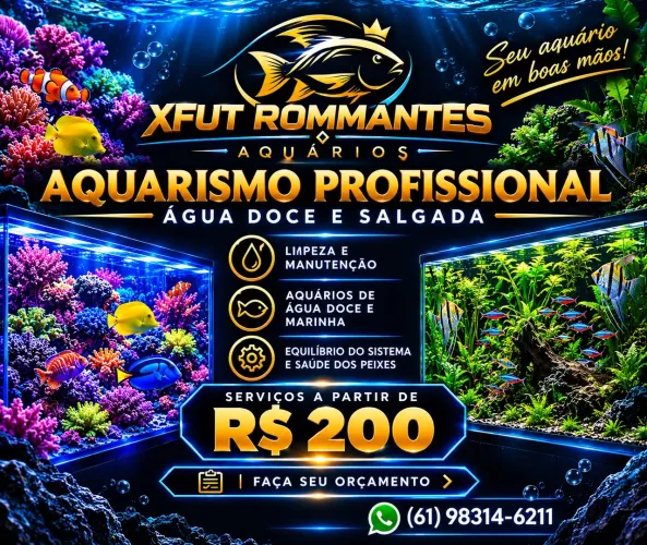 Limpezas de aquários 