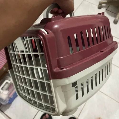 Caixinha de transporte de cachorrinho