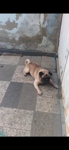 PROCURO namorada 