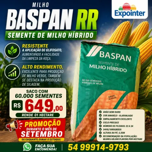 Semente Milho Hibrido Baspan RR Saco 60.000 