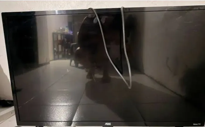 Televisão