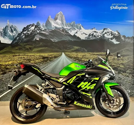 Kawasaki Ninja 300 2023