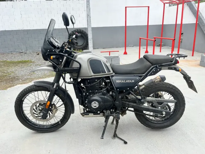 Himalayan
