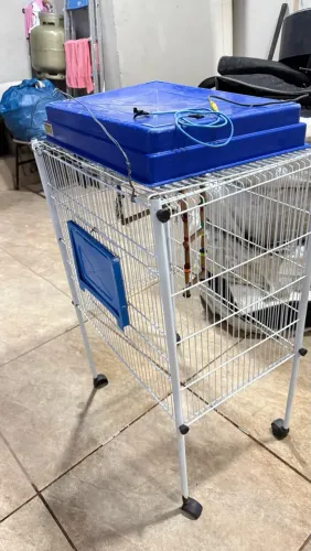 Vendo gaiola de pássaros