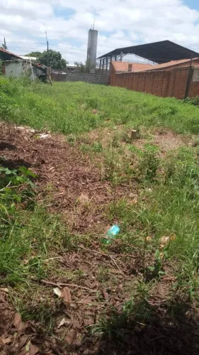 Terreno à venda, Vila São Paulo, Bauru, SP