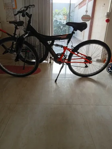Bicleta