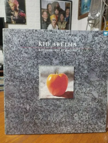 Disco de vinil ( KID ABELHA )