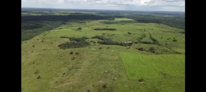 350 Alqueire dupla aptidão por R$ 25 milhões no Pará 