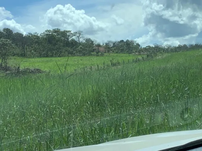 Fazenda 319 alq em Niquelândia GO. 60 formados 15 milhoes