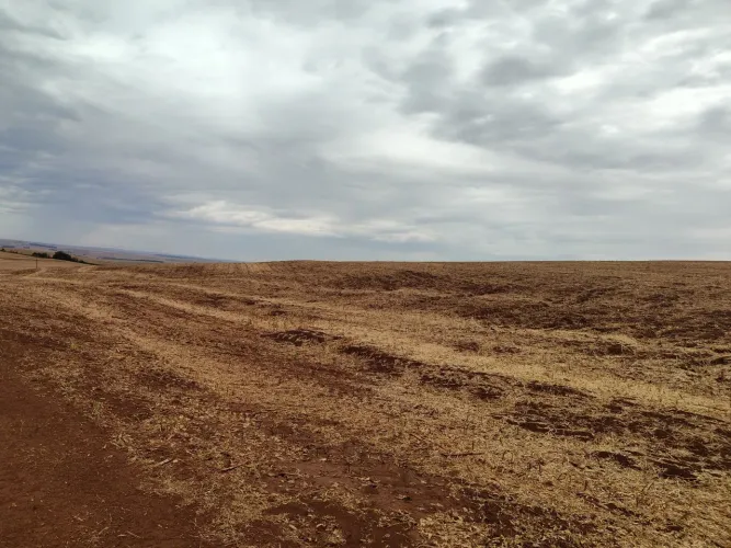 Sítio 53 alqueiro planta 44