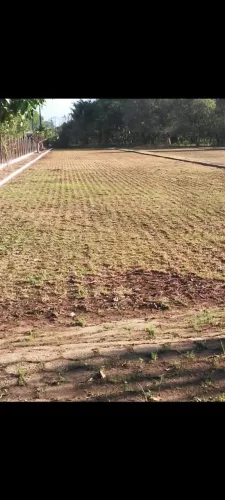 TERRENO 34 MIL M2 APENAS 1KM DA BR 316 NO KM 1 ESTRADA DE MOSQUEIRO