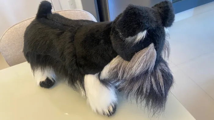  Schnauzer 45/30cm