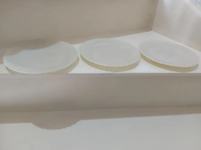 5 Pratos De Sobremesa Coralex