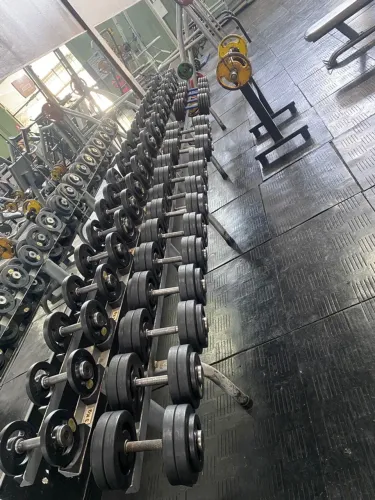 Suporte de halteres com 20 pares