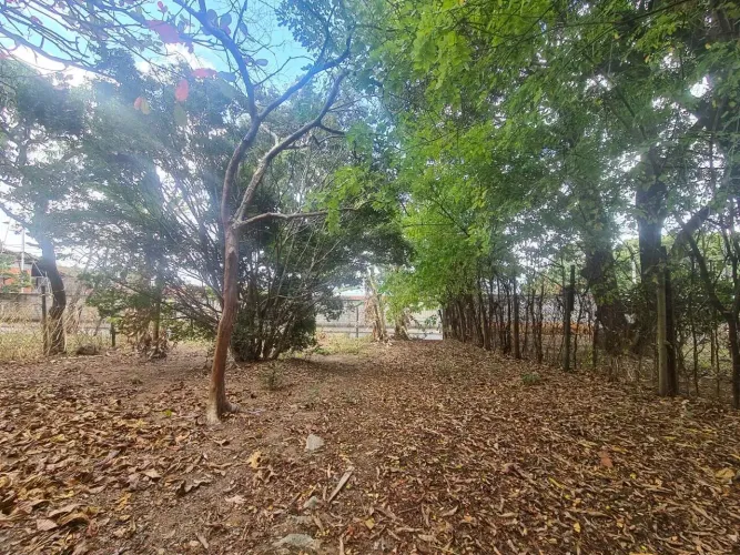 02 lotes juntos no Bairro Trevo
