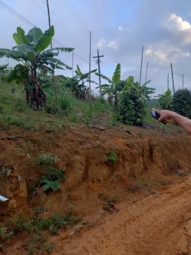 Terreno em Alfredo Chaves 