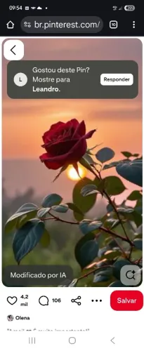 Preciso de ajudante que durma no emprego , detalhes no chat