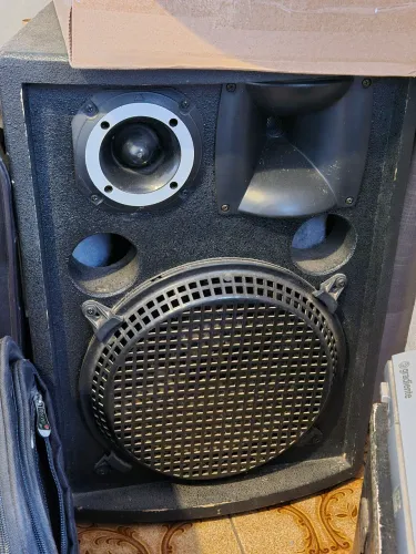 Caixa de Som Passiva de 12"