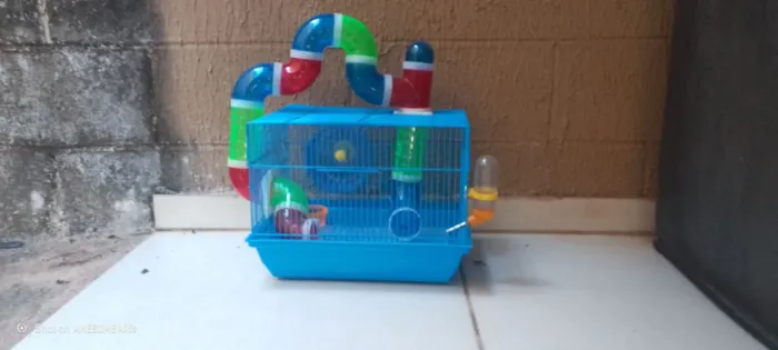 Artigo pra pets