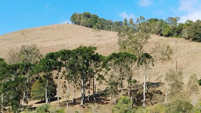Terreno com 20000m²- Bocaina de Minas - MG