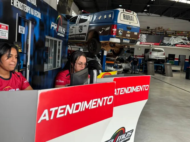 Mecânico linha leve 