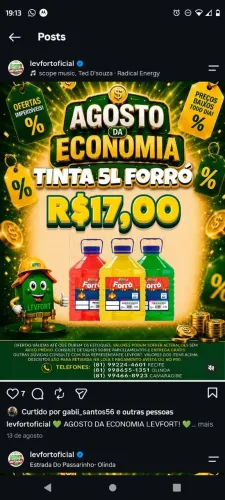 Tinta 5l forro 