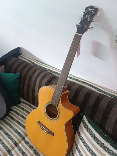 Violão Tagima Woodstock TW 29