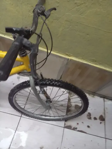 Bicicleta