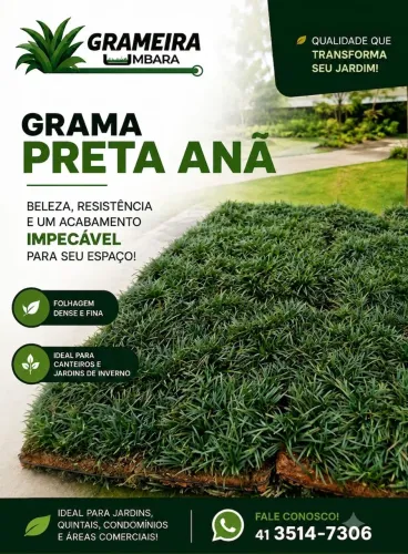 Grama preta anã