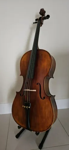 Violoncelo Eagle Ce310