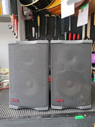 Monitor de Audio Ramsa ws a35