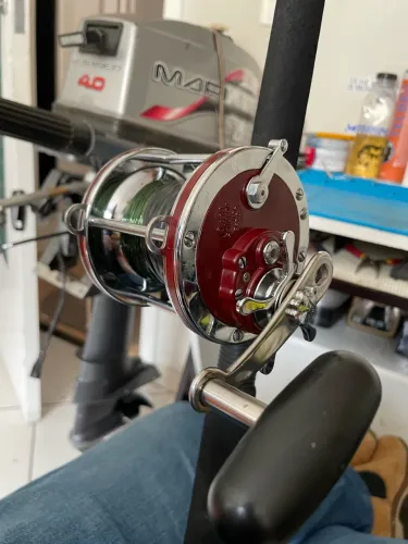 Penn Special Senator 4/0 