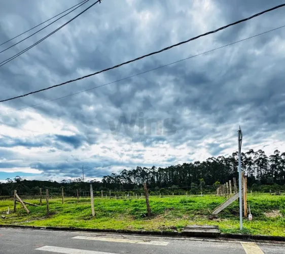 Terreno Loteamento La Vitória Criciúma