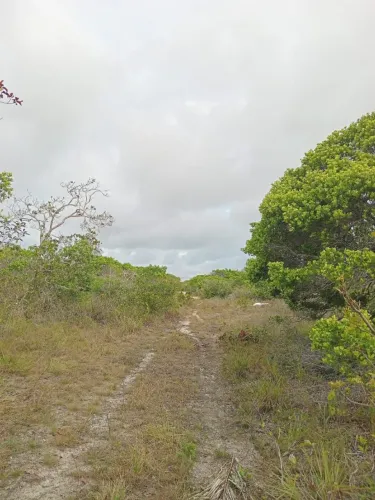 Terreno em Santo Amaro do Maranhão