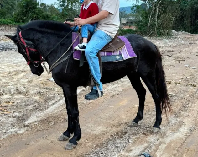 Égua MM Preta 