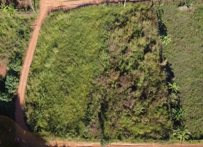 Lote Chácara 3.000 mts Inhumas / Caturai