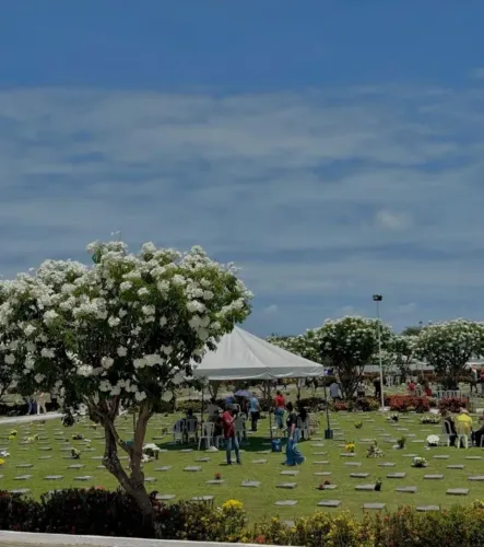 Sepultamento no cemitério Parque das Acácias 